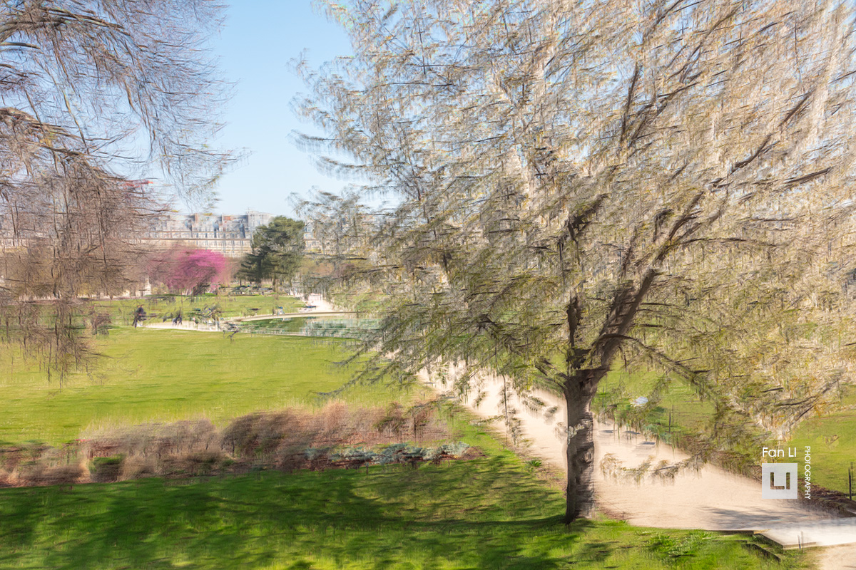 Printemps à Paris, Jardin de Tuileries, 2